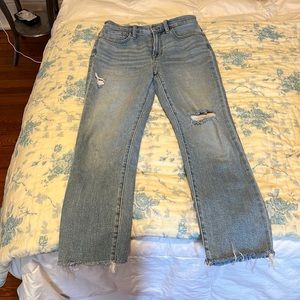 Madewell The Perfect Vintage Jean